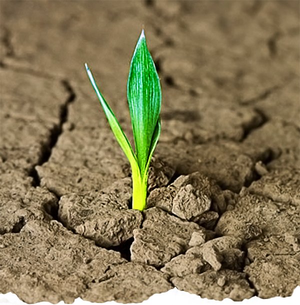 Learn Forward (@learnforwardhe) on Twitter photo New post from <a href="/tman84/">Tyler McClain</a> "No More Spoon-Feeding! It's Time to Foster Resilient Students" bit.ly/1ZOemk4 New post from <a href="/tman84/">Tyler McClain</a> "No More Spoon-Feeding! It's Time to Foster Resilient Students" bit.ly/1ZOemk4