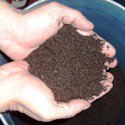 OrderYourDomain's tweet image. 14 Day Worm Castings Books, produce organic fertilizer while raising the best fishing worm! ow.ly/YDjSJ