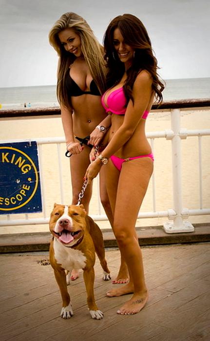 Pawgs4Dogs's tweet photo. Butt Dog https://t.co/6kafYEBz67