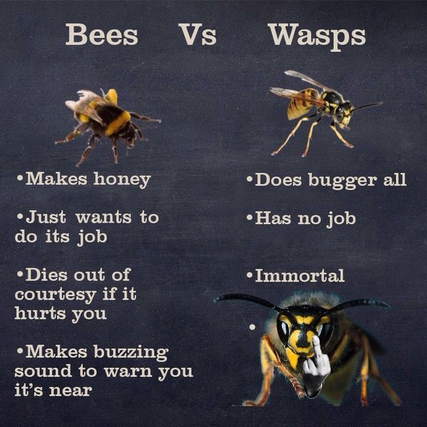 Friendly Reminder 🐝 #lmacsbuzzing
