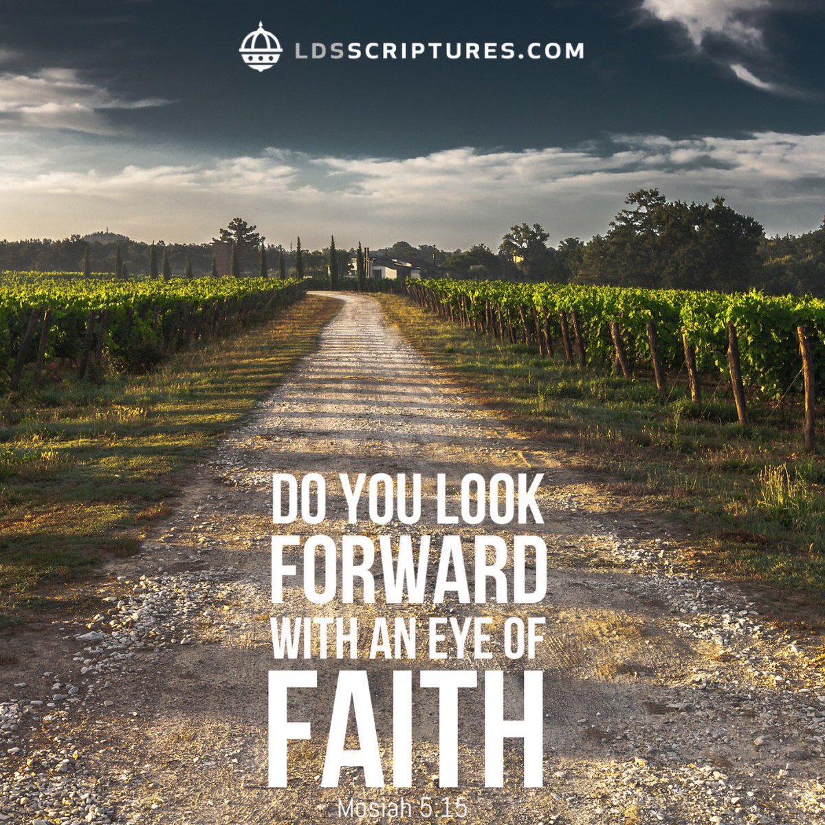 ldsscriptures's tweet photo. Do you look forward with an eye of faith? Mosiah 5:15 #scriptureseveryday #lds https://t.co/l30438y5q6 https://t.co/QQ0TkS9PHC