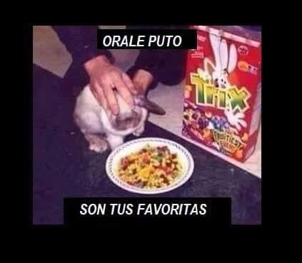 TheMrXOfficial's tweet photo. XD me hizo reír mucho. By the way #NoAlMaltratoAnimal https://t.co/yZ7fK2Jx6v