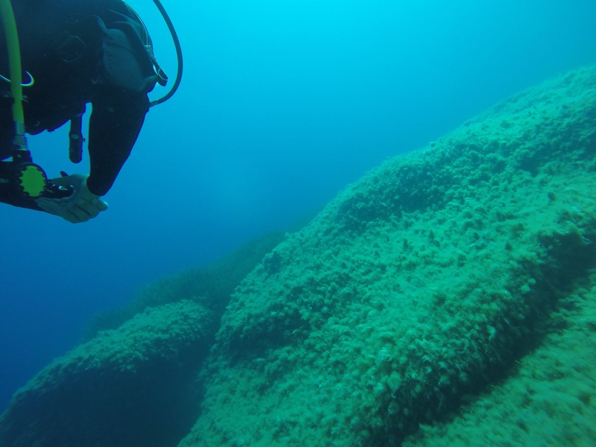 Upplevelseresan's tweet photo. Best diver shots from today. Time to go to bed and do it all over again tomorrow.
#travel #malta #gopro #WhyIDive https://t.co/waTQYiZxOe