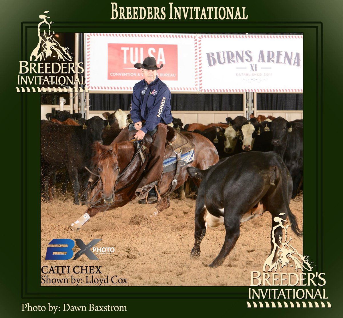 PHorseCentral's tweet photo. #lloydcox scored a 222 on Catti Chex lead day 2 Open 5/6 1st go #breedersinvitational #cuttinghorses #highbrowcat https://t.co/cJySHTDioY