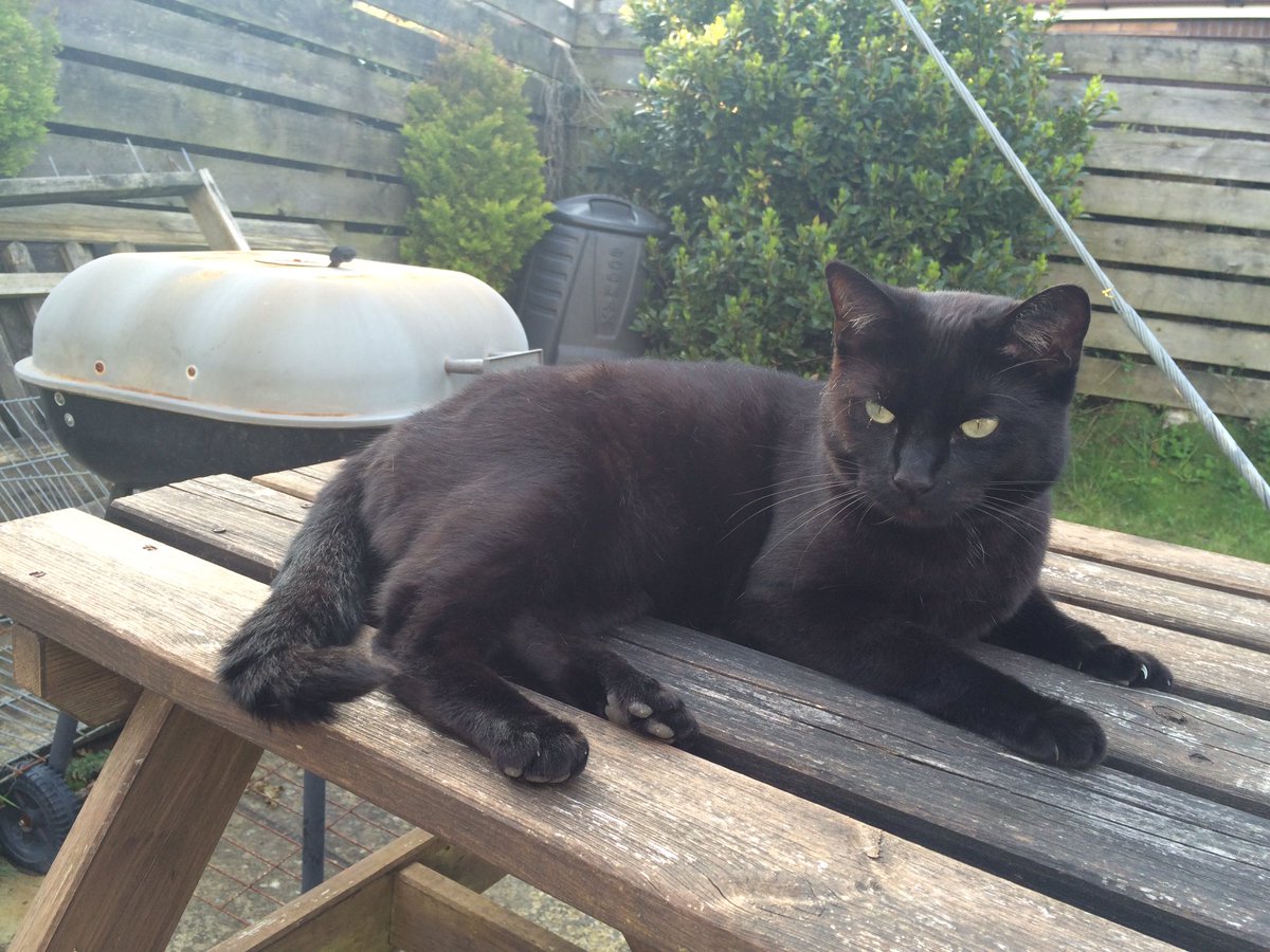 iamclivecat's tweet photo. Happy Friday 13th you lovely lot https://t.co/smhF0vR7gx