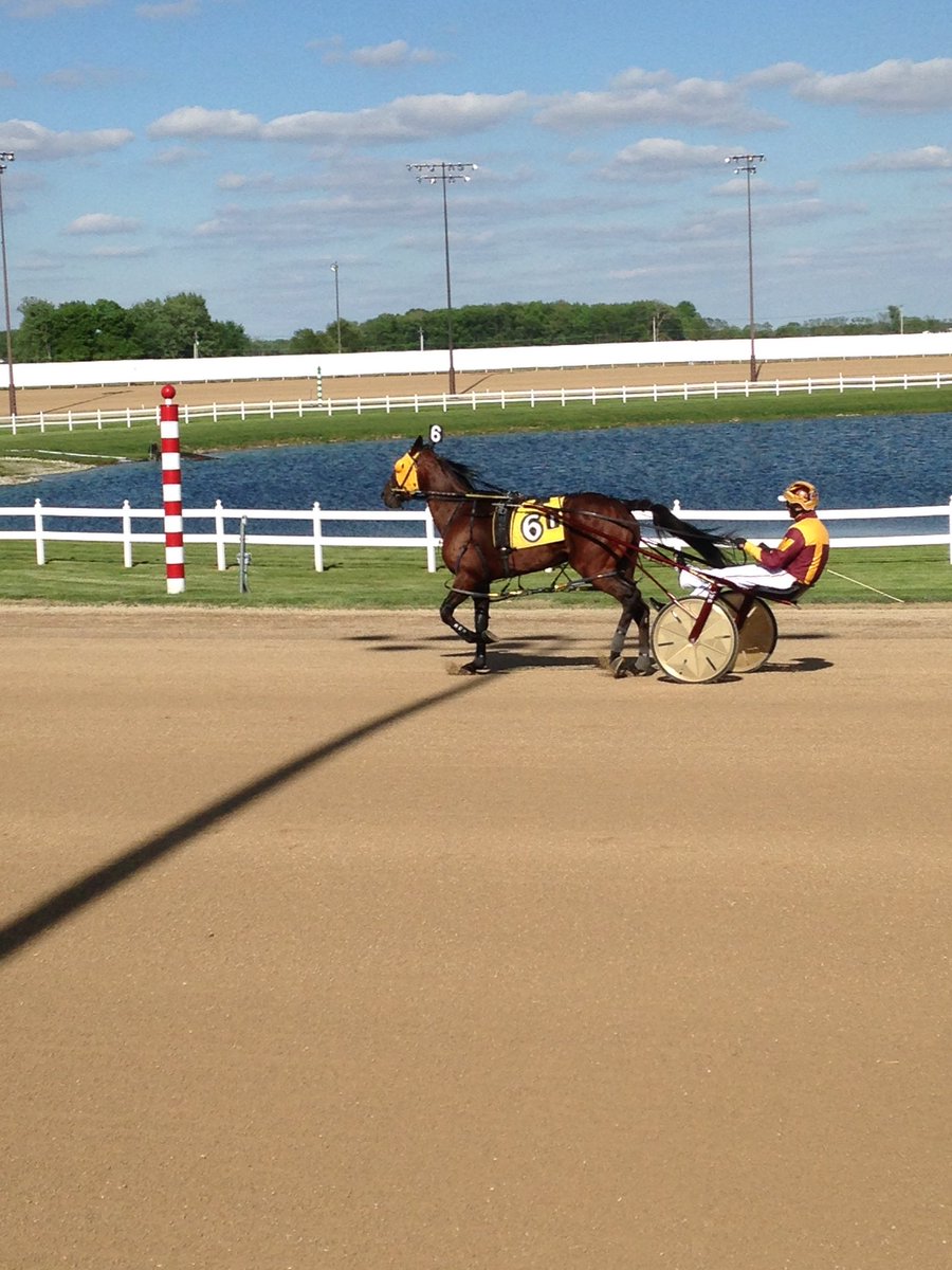 MidwestHarness's tweet photo. @HoP_Racing #wild Wanda #rickymacomber https://t.co/YCRm6Ft6D8