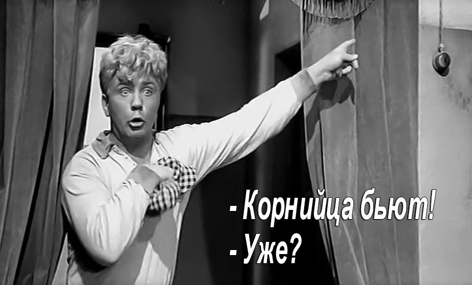 Решением суда с "бриллиантового прокурора" Корнийца снята государственная охрана - Цензор.НЕТ 5644