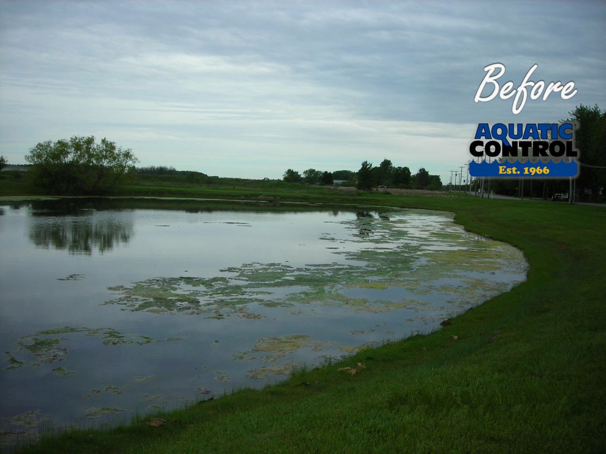 Aquatic_Control's tweet image. A haunting scene from #Fridaythe13th...haunting to aquatic pest anyway. Like these results? #TakeControl