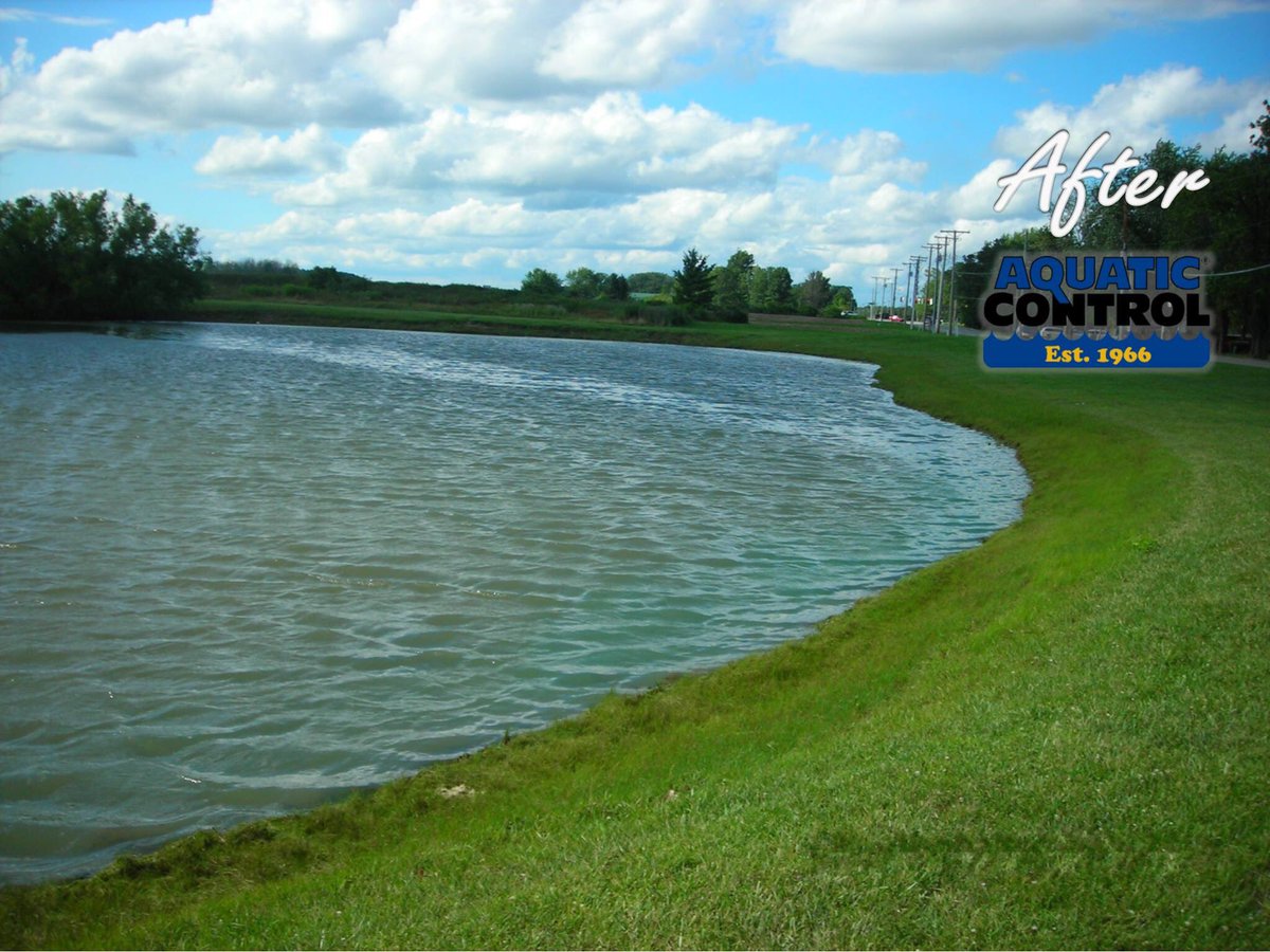 Aquatic_Control's tweet image. A haunting scene from #Fridaythe13th...haunting to aquatic pest anyway. Like these results? #TakeControl