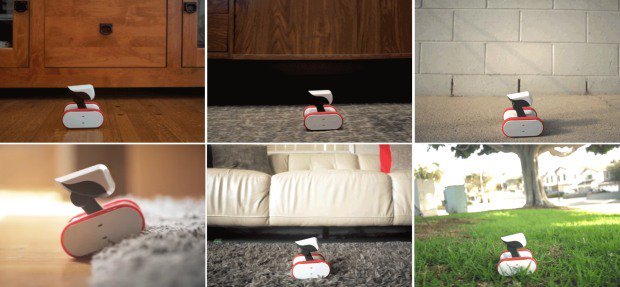 AppbotRiley's tweet image. Appbot Riley has been featured on @cnet_japan! bit.ly/223XPu3 #GetRiley #robot