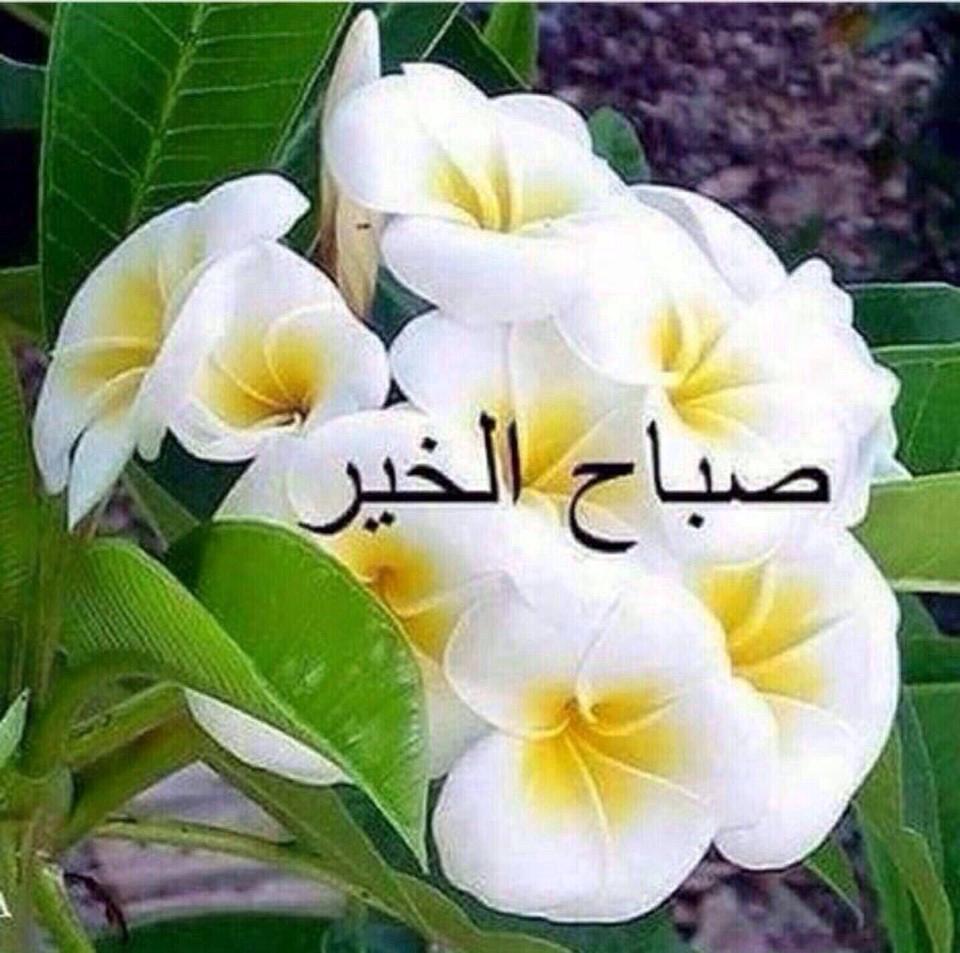 sozaan38's tweet photo. https://t.co/XyZyF9D8Tp