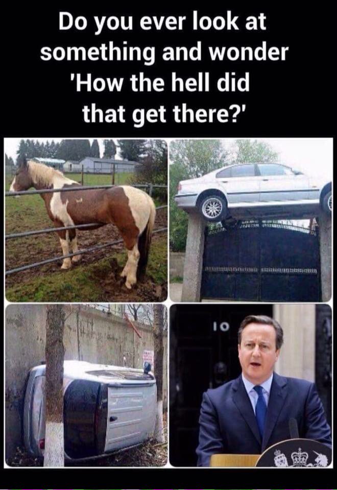 Wesilini's tweet photo. @David_Cameron Are you still in shock? https://t.co/08ooHU7x6J