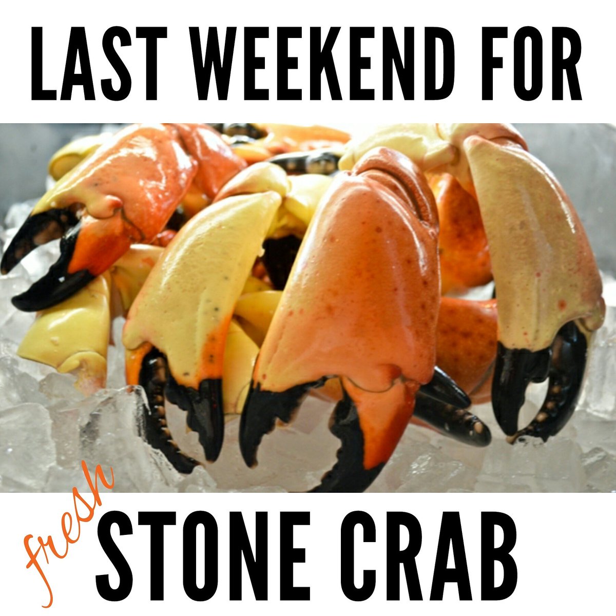 icsharksseafood's tweet photo. #stonecrab #seafood #buyfresh #freshfromflorida #freshofftheboat #reelfresh #reelfun #realflorida #icsharks https://t.co/S4axzaJ78s