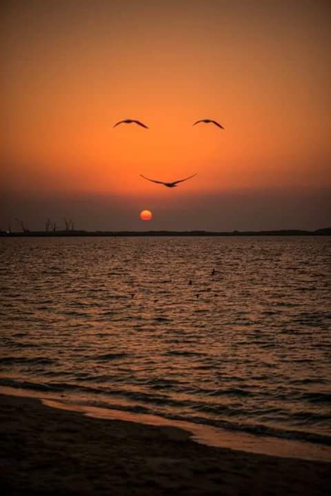 LibisLeonor's tweet photo. #Atardecer curioso https://t.co/5SsIUmcJKi
