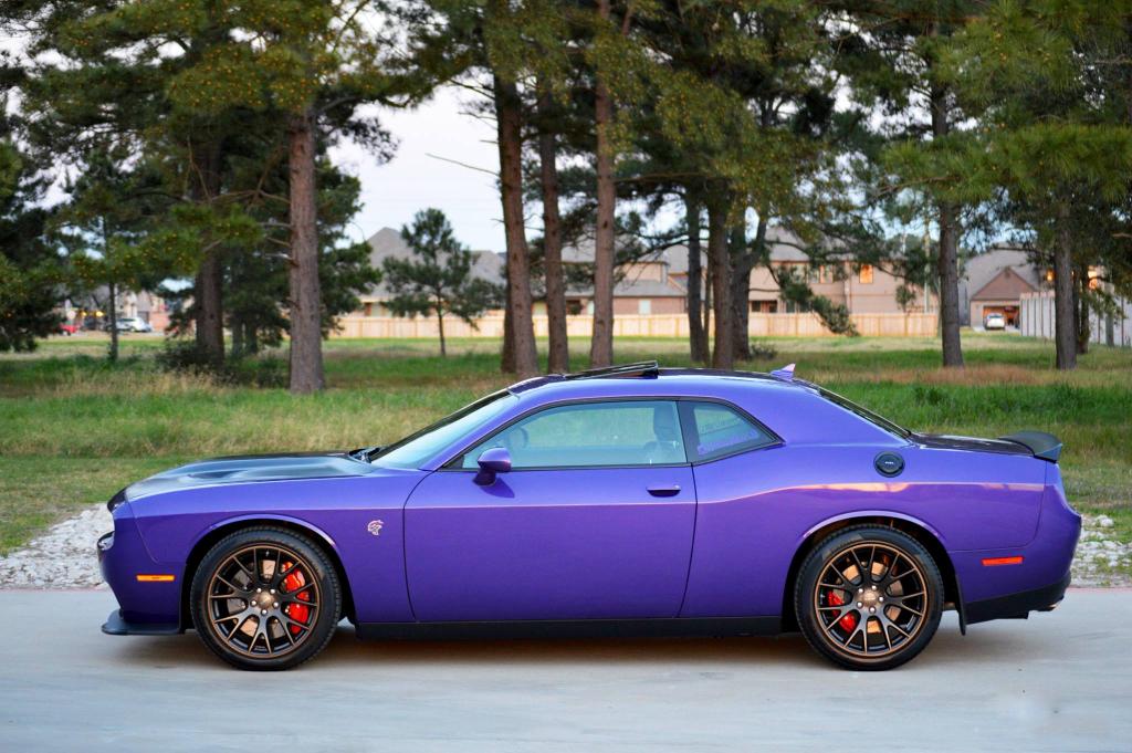 Plum Crazy kitty. (Photo credit: Moses O.) #ThatsMyDodge