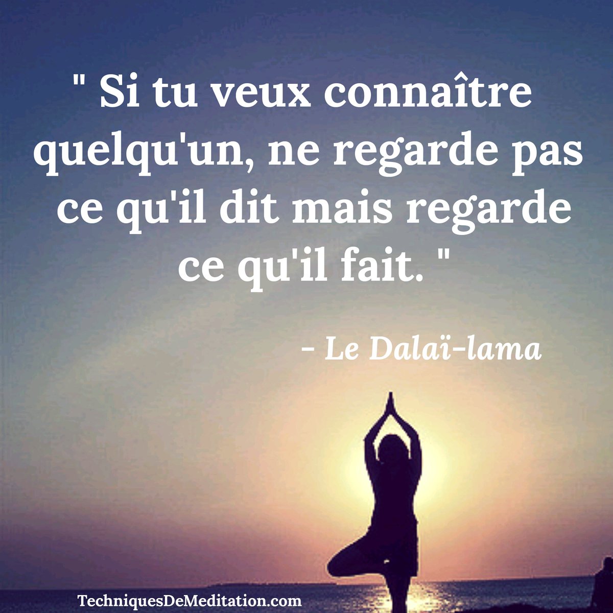Citation Dalai Lama Si Tu Veux Connaitre Quelqu�un Citation Dalai Lama Si Tu Veux Connaitre Quelqu�un