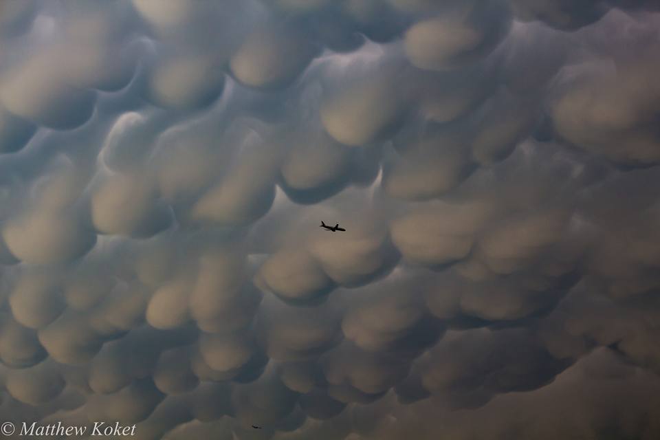 Mark Tarello tweet media