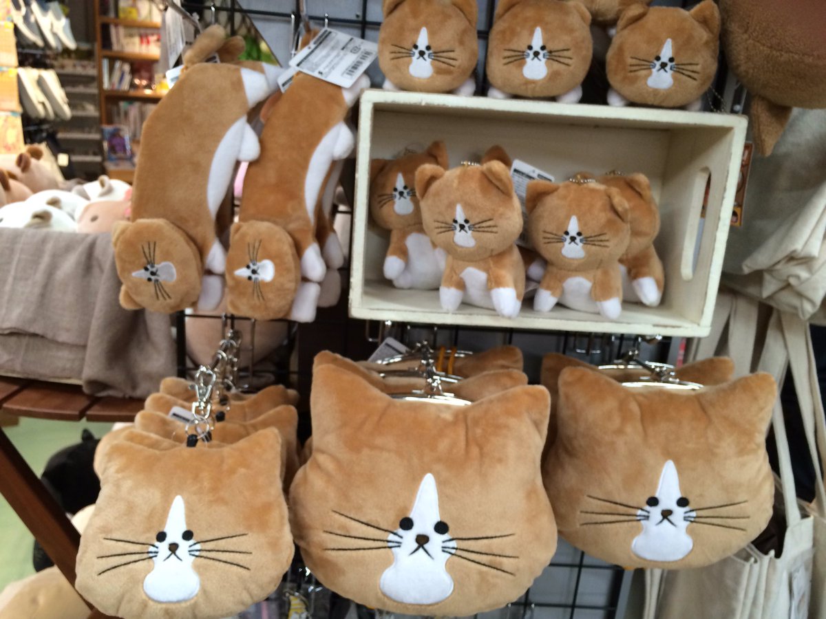 ヴィレッジヴァンガードアスナル金山 Na Twitteru 本日発売 第1回次にくるマンガ大賞web部門第2位 鴻池剛と猫のぽんた ニャアアアン のぽんたグッズです ぬいぐるみ ボールキーチェーン パスケース がま口 どれもかわいいいっ 鴻池剛 猫のぽんた