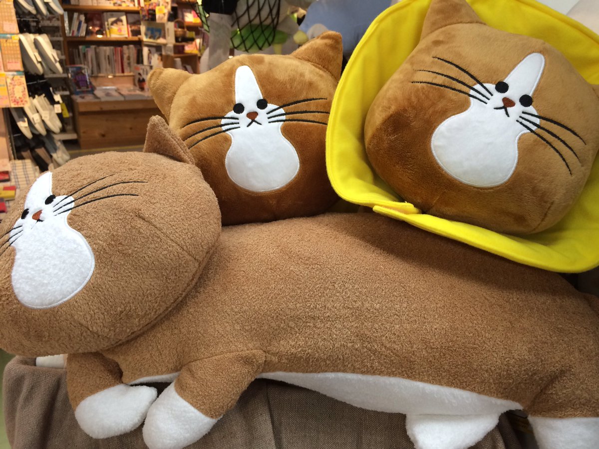 ヴィレッジヴァンガードアスナル金山 Na Twitteru 本日発売 第1回次にくるマンガ大賞web部門第2位 鴻池剛と猫のぽんた ニャアアアン のぽんたグッズです ぬいぐるみ ボールキーチェーン パスケース がま口 どれもかわいいいっ 鴻池剛 猫のぽんた