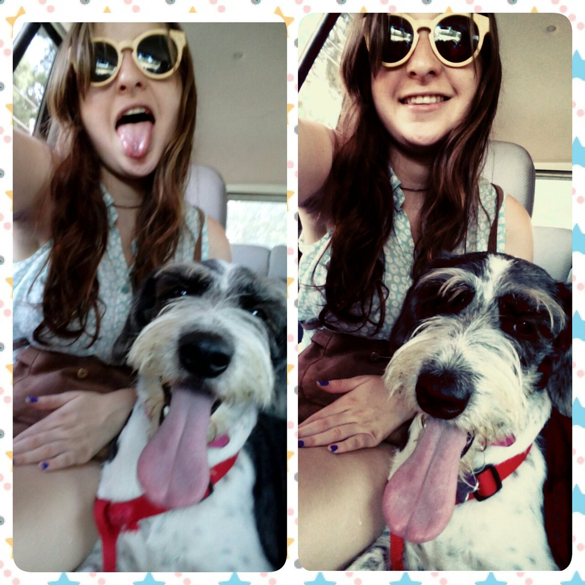 cathenicole26's tweet photo. #RectaFinalAP Con mi Domy disfrutando del mejor panorama de los viernes,nos encanta el programa, muy familiar🐶❤ https://t.co/LDrVb6hYCl