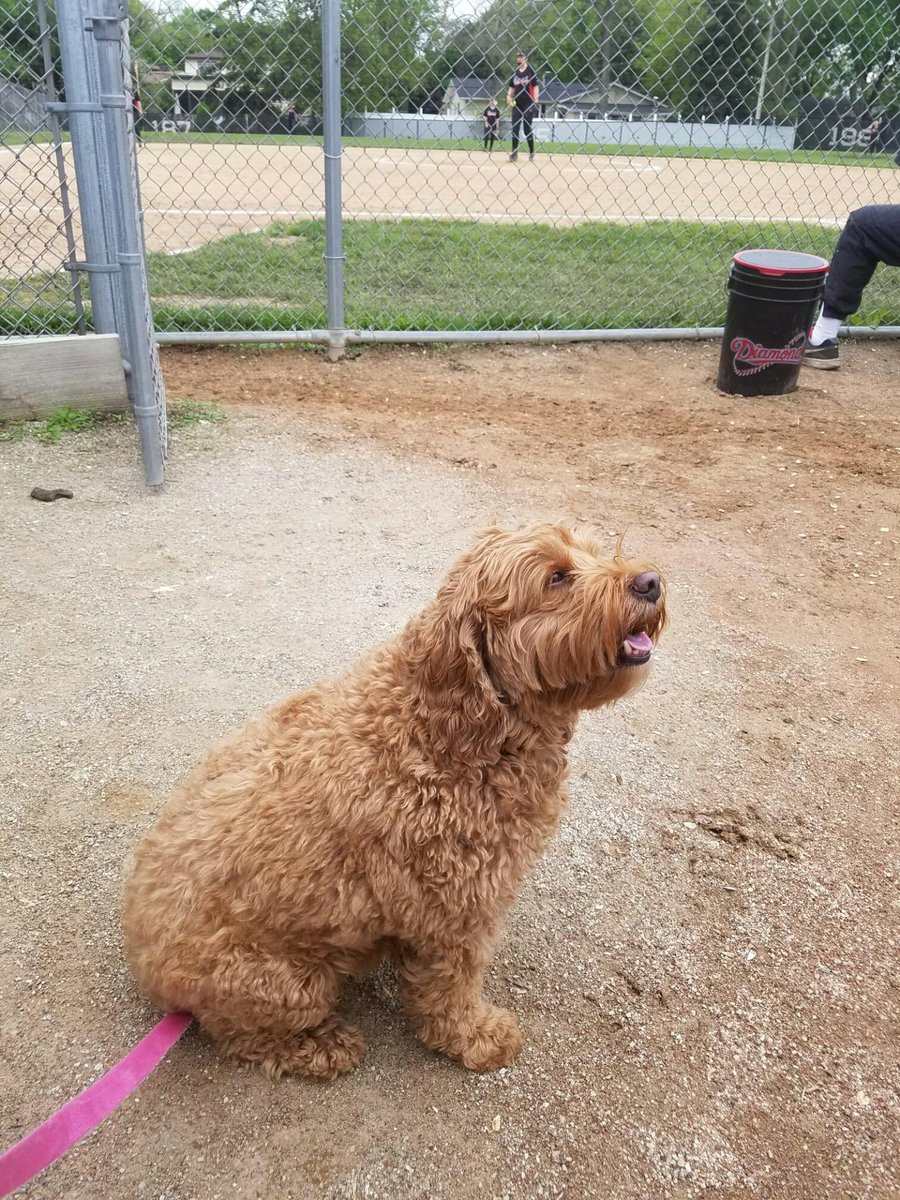 Bella enjoyed the win as well!