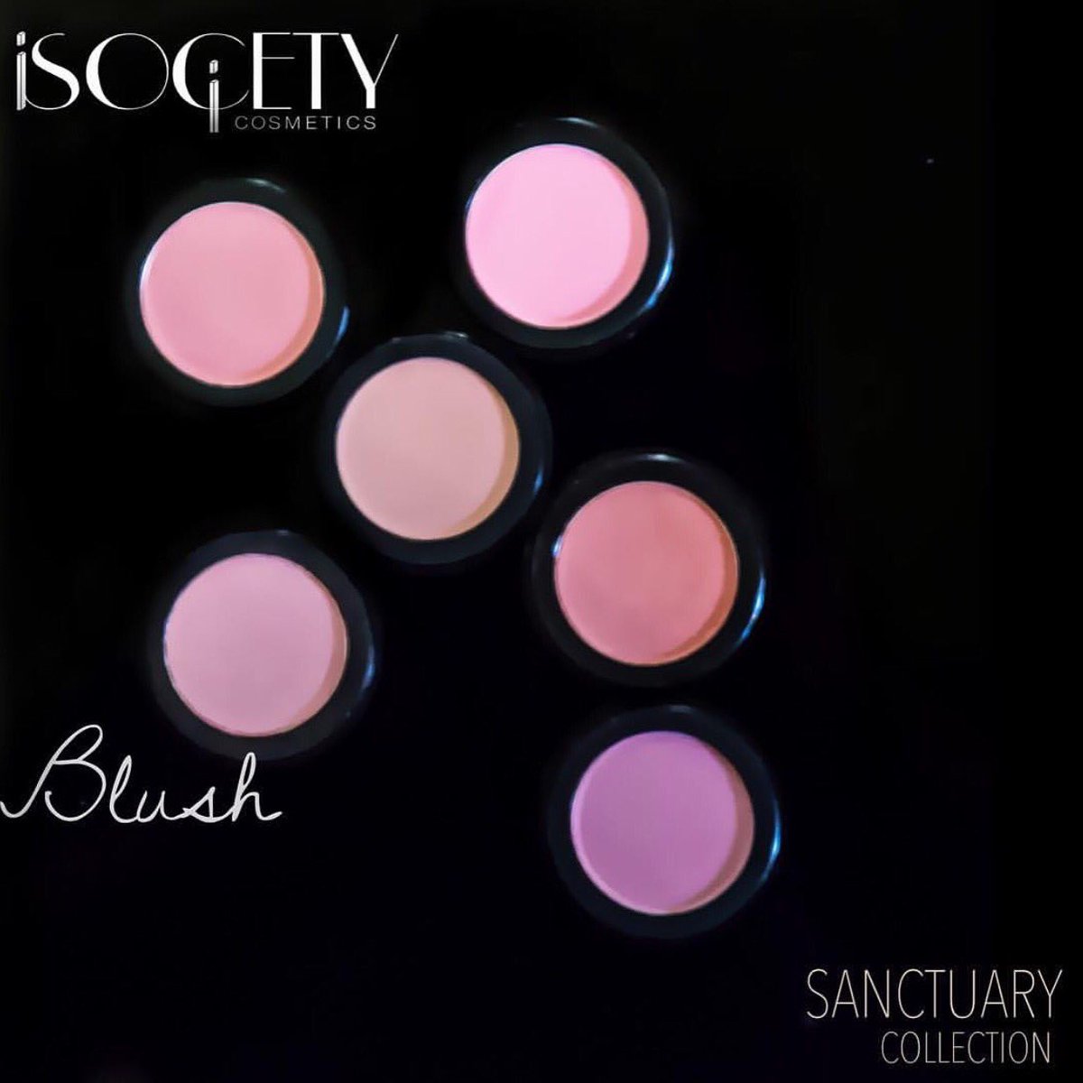 IsocietyISC's tweet photo. #BLUSH #SOFT #PINK #PEACHY #THESANCTUARYCOLLECTION #face #cheeks #makeup #newmakeup #makeupaddict #makeupjunkie #mua https://t.co/HdwhUizhQ5