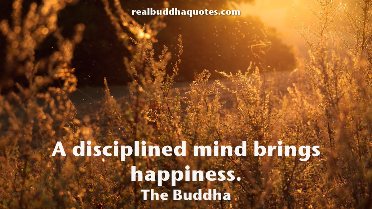 emnewsflash's tweet photo. A @disciplined mind brings @happiness.#nflash https://t.co/7IDVCYy5IC