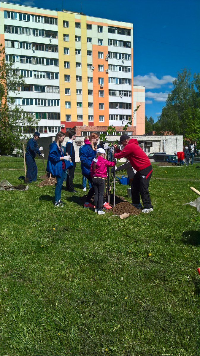 #МТИКМО #НашеПодмосковье #ЛесПобеды   В Коломне появилась аллея Победы, акция прошла замечательно!
