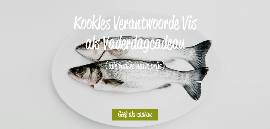 Zoek je een Vaderdagcadeau? Vaders nú 50% korting op onze visworkshop. ow.ly/vsc33004pxI #vaderdag #korting