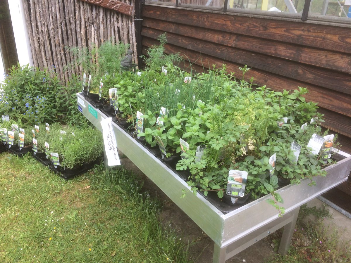 tuindees's tweet photo. Wij verkopen ook mooie kruidenplanten. De winkel is open tot. 15 uur https://t.co/UudV04TJGJ