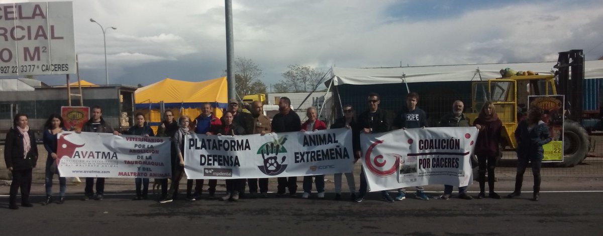 Nos unimos a la reivindicación contra el maltrato animal en los circos. Circos sí, pero sin animals #maltratoanimal