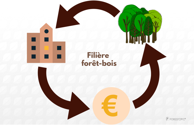 Forestopic's tweet photo. Où est l’argent frais pour la #forêt et l’innovation? #FBRI2025 #RSE https://t.co/MsthbV4HlC https://t.co/ACo0RddsN2