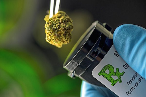 Study: Incorporating #Cannabis Oil Therapy into #AlzheimersDisease Treatments - mmjne.ws/1n8i0rC #mmj