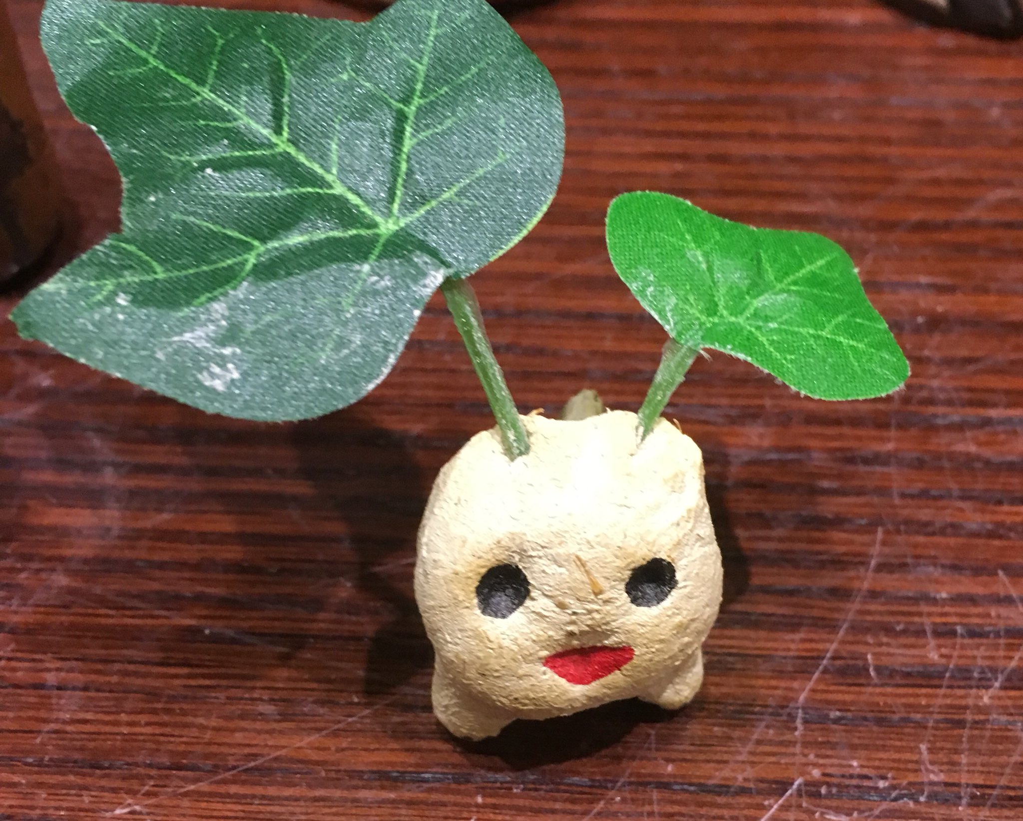 ｚ ロハスシーサーが可愛いすぎる T Co Fziotgbwny Twitter