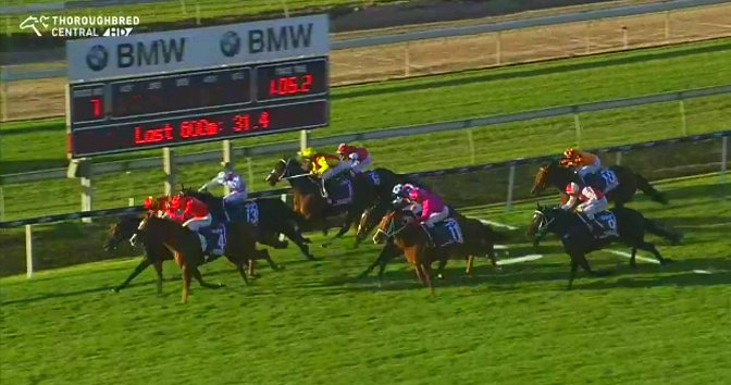 Rubicon_NZ's tweet photo. @the_sleeper65 @Jo_McKinnon @ThirdDividend @lukew9 @stokesy24 @yeanzy @emma_freedman #BTCCup #Doomben #Malaguerra https://t.co/oYXUhfUY0l