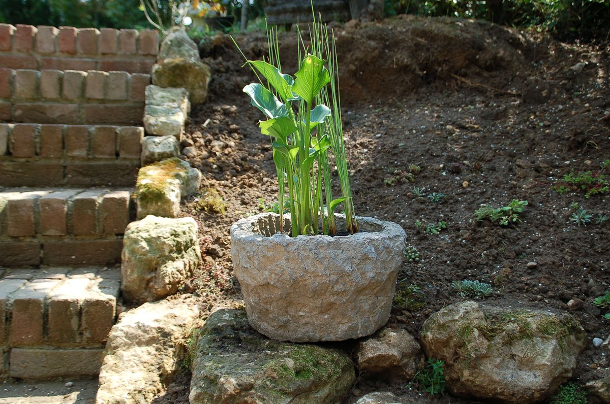 CoolDeco1's tweet photo. Minivijvertje in je tuin met een hardstenen pot (36 cm) met daarin de moeras Aronskelk en de Dwerglisdodde. https://t.co/PoGgCysBao