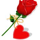 hyamnap1's tweet image. 