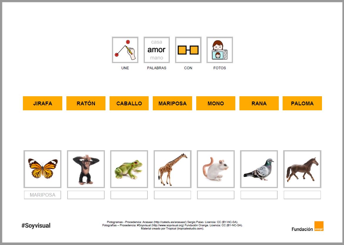 arasaac's tweet image. MATERIALES LECTOESCRITURA
"Relaciona el texto con pictograma - fotografía: animales"
arasaac.org/materiales.php…