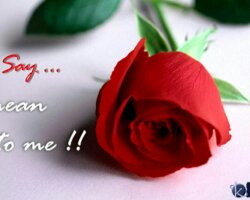 hyamnap1's tweet image. 