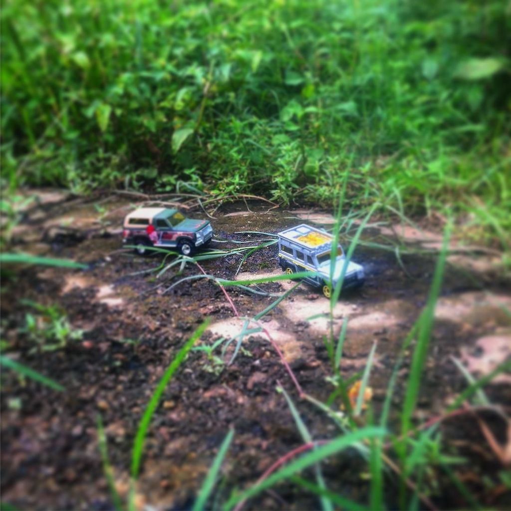 broncosselfie1's tweet photo. Lost in a woods! #indonesiandiecaster #idregramtime #idregram #broncos #landrover #diecastpic #myhobby #mylife #myt… https://t.co/OTO2dyY0Qn