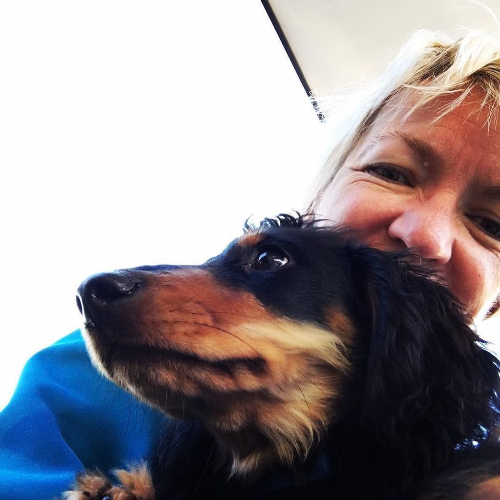 cjloff's tweet photo. Met this little fella at the coffee shop after my cycle #longdogsWA #freolocal #localcafes… https://t.co/I2OYV2oSWH https://t.co/KXuMwdC51L
