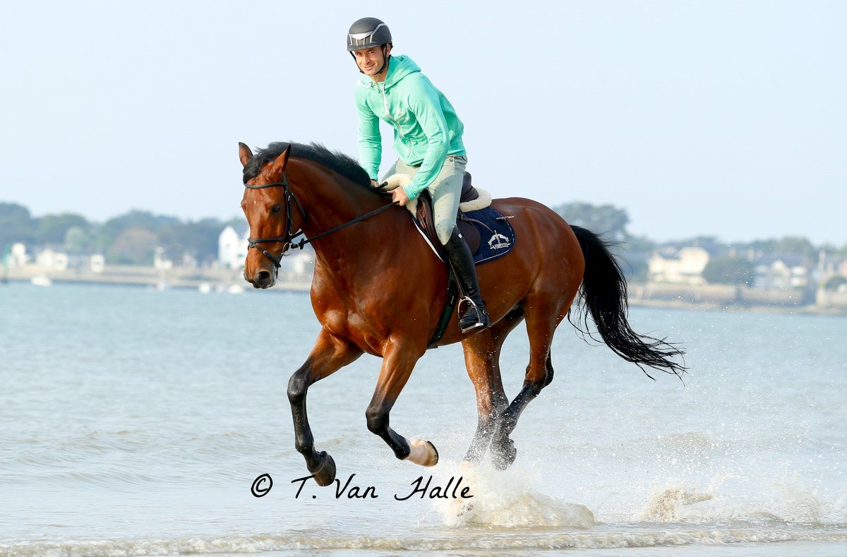 this morning ... the beach with <a href="/steveguerdat/">Steve Guerdat</a> @samshieldworld <a href="/Veredus1990/">Veredus</a> <a href="/jumpinglabaule/">La Baule CSIO5* - Officiel de France</a> <a href="/FEI_Global/">The FEI</a> <a href="/SwissJumping/">Swiss Jumping Team</a>
