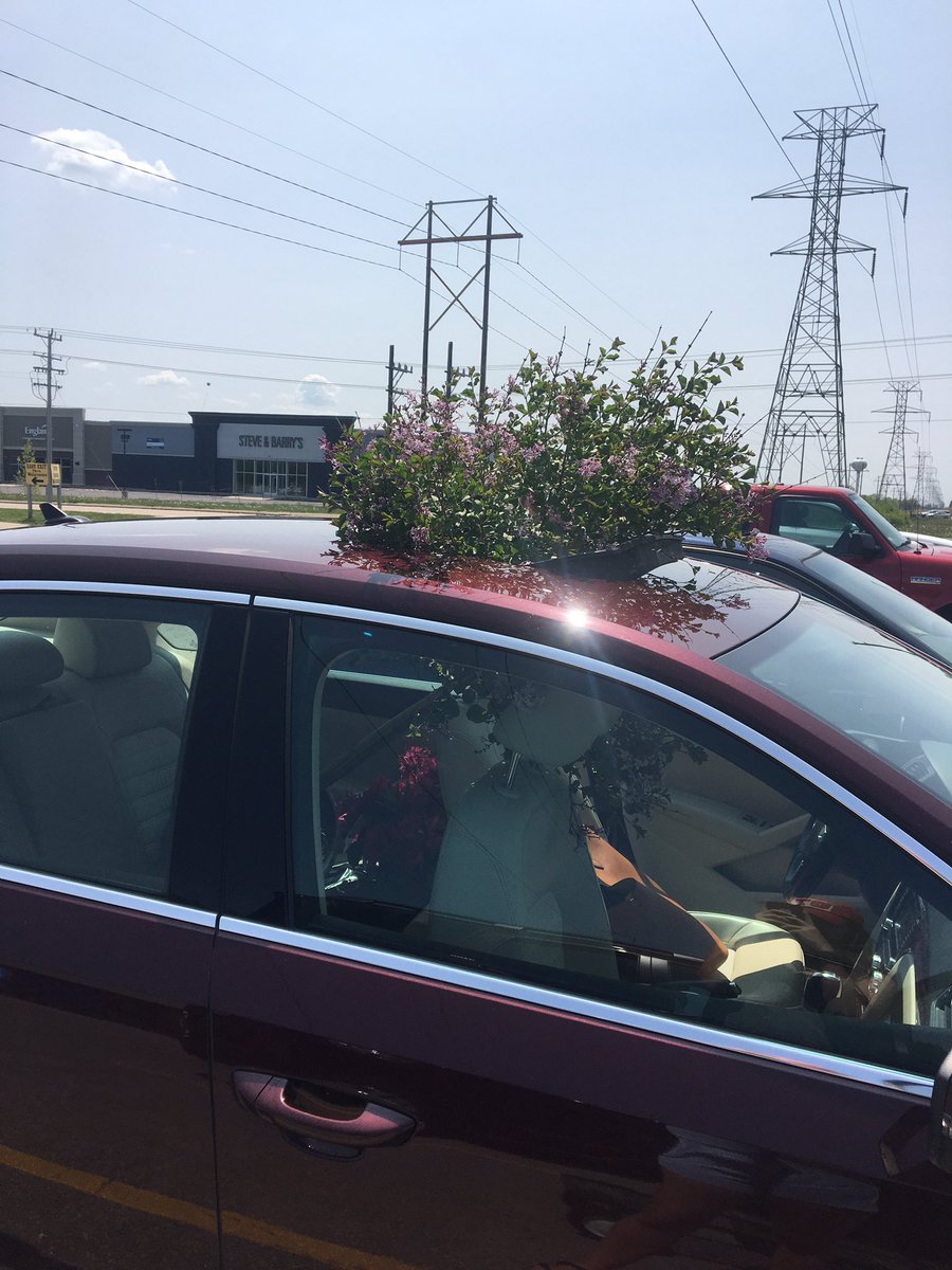 Scott Rakestraw (@scott_rakestraw) | Twitter