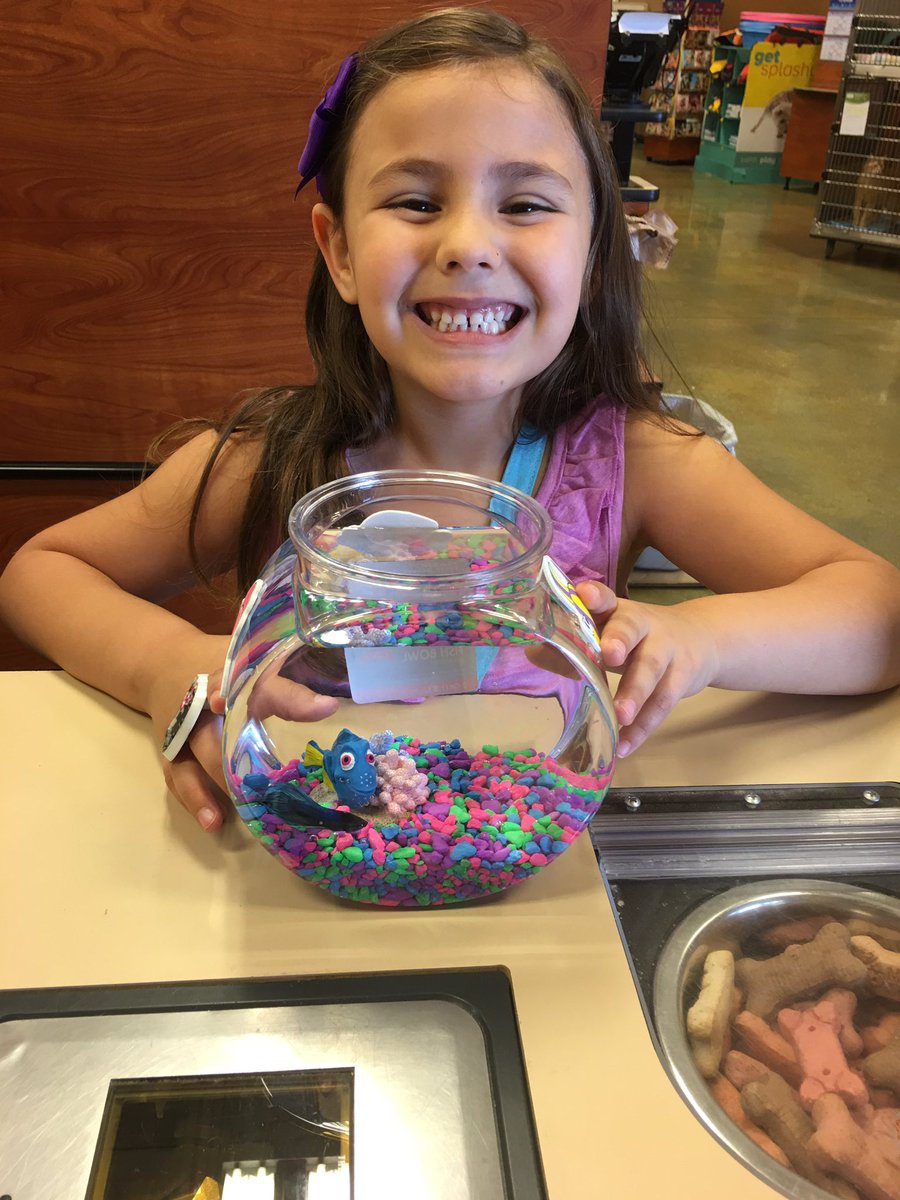 2348Petsmart's tweet photo. She designed her very own fish bowl!! And got a FREE movie ticket! Successful day for this girl! https://t.co/4ywfJ2BfLu