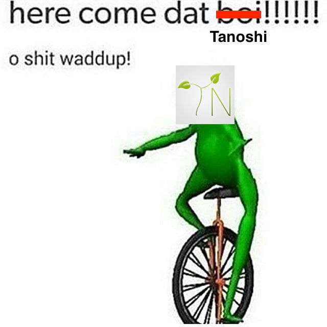TanoshiNetwork's tweet image. o shit waddup