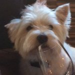Photo by Greg Andrews (@gregloveswine)