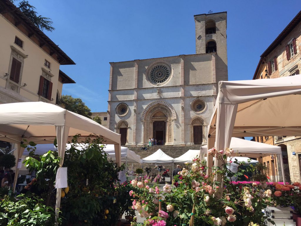 Mercatino Mania tweet media