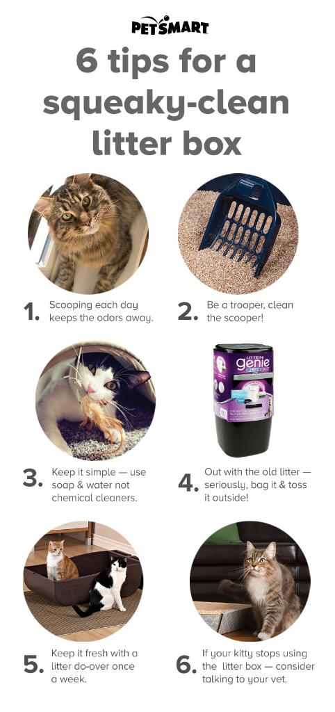 PetSmart tweet media