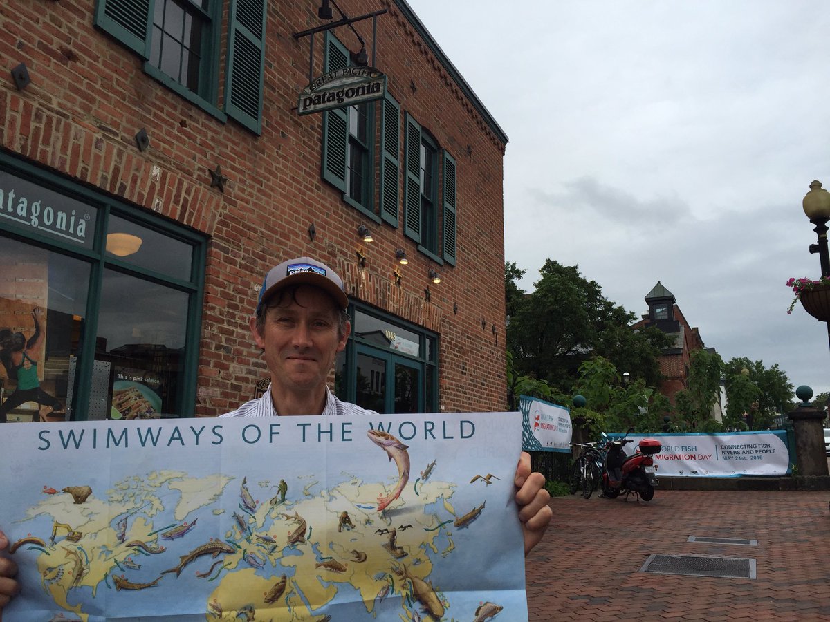 World Fish Migration Day tweet media