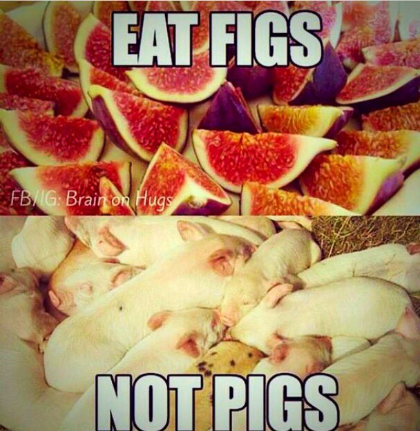 #EatFigsNotPigs #GoVegan #LoveLife 🍋🍓🌽🍒
